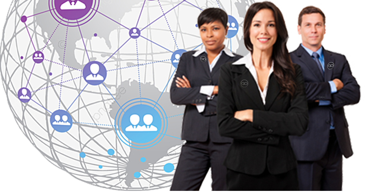 FIND A CONSULTANT GO GLOBAL NETWORK