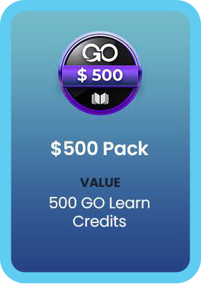 PACK 500 GO GLOBAL NETWORK