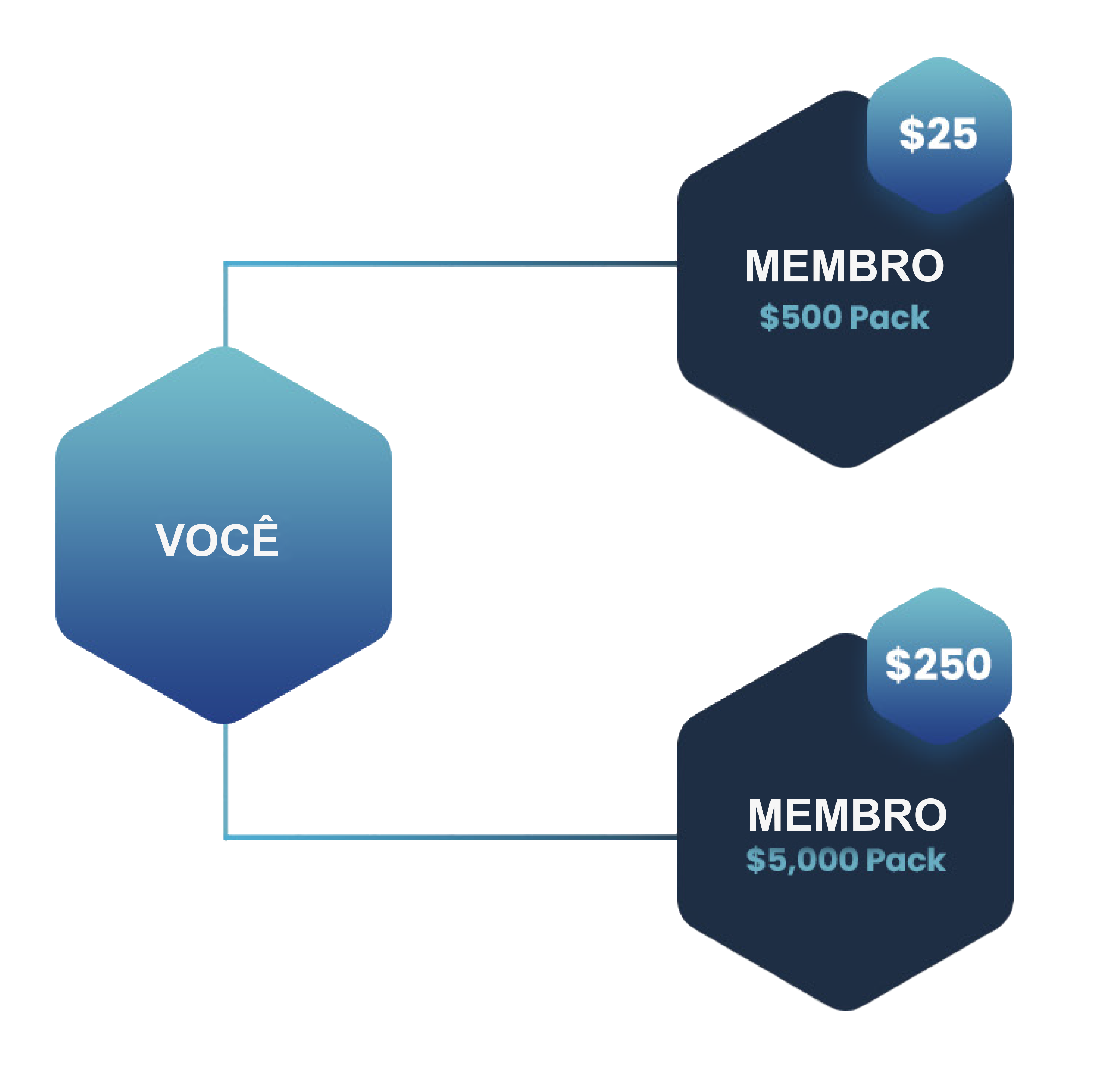 go direct program pt-br goglobal multilevel network