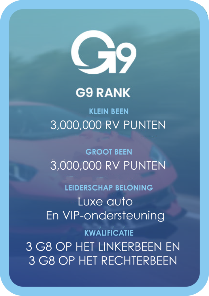 G9 GOGLOBAL rangen en compensaties gaan wereldwijd netwerk op meerdere niveaus