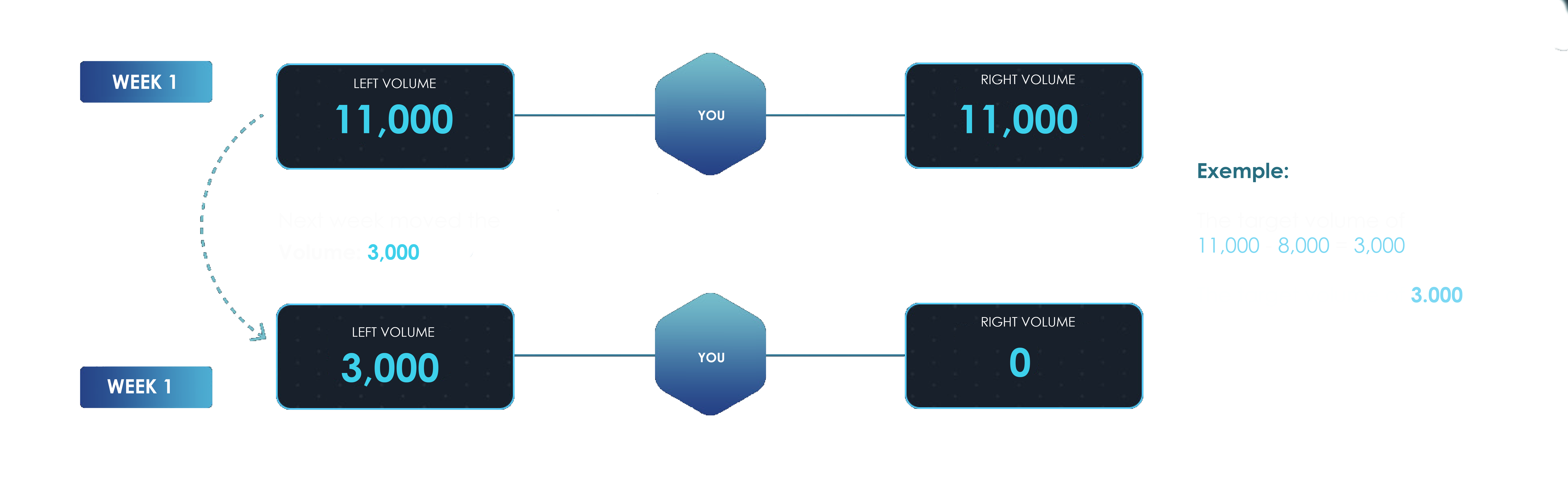 week volume example en goglobal multilevel network